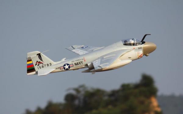Freewing planes shop